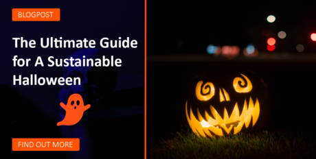 Sustainable Halloween Thumbnail