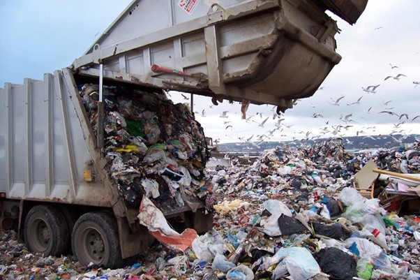 Food Landfill Trends 2025